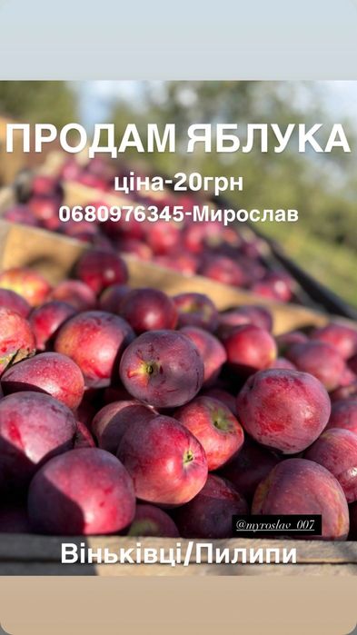 Продаю яблука...