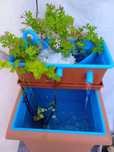 Mini lago de 35 litros