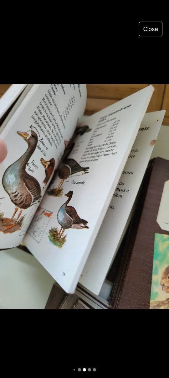 Coleção Cadernos de Campo
