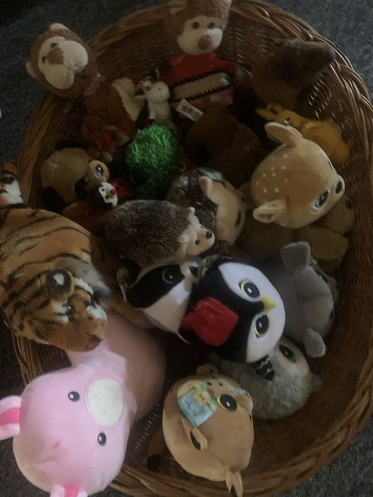 Zabawki misie  nowe i uzywane miekkie mis