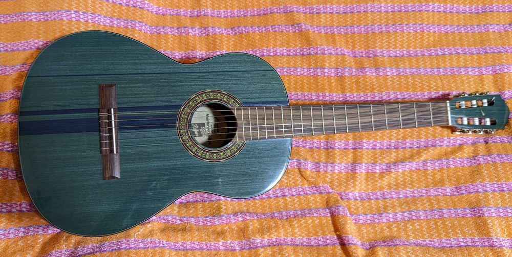 Гитара Hofner Model TS1 (Trend Style) "Green Stripe"