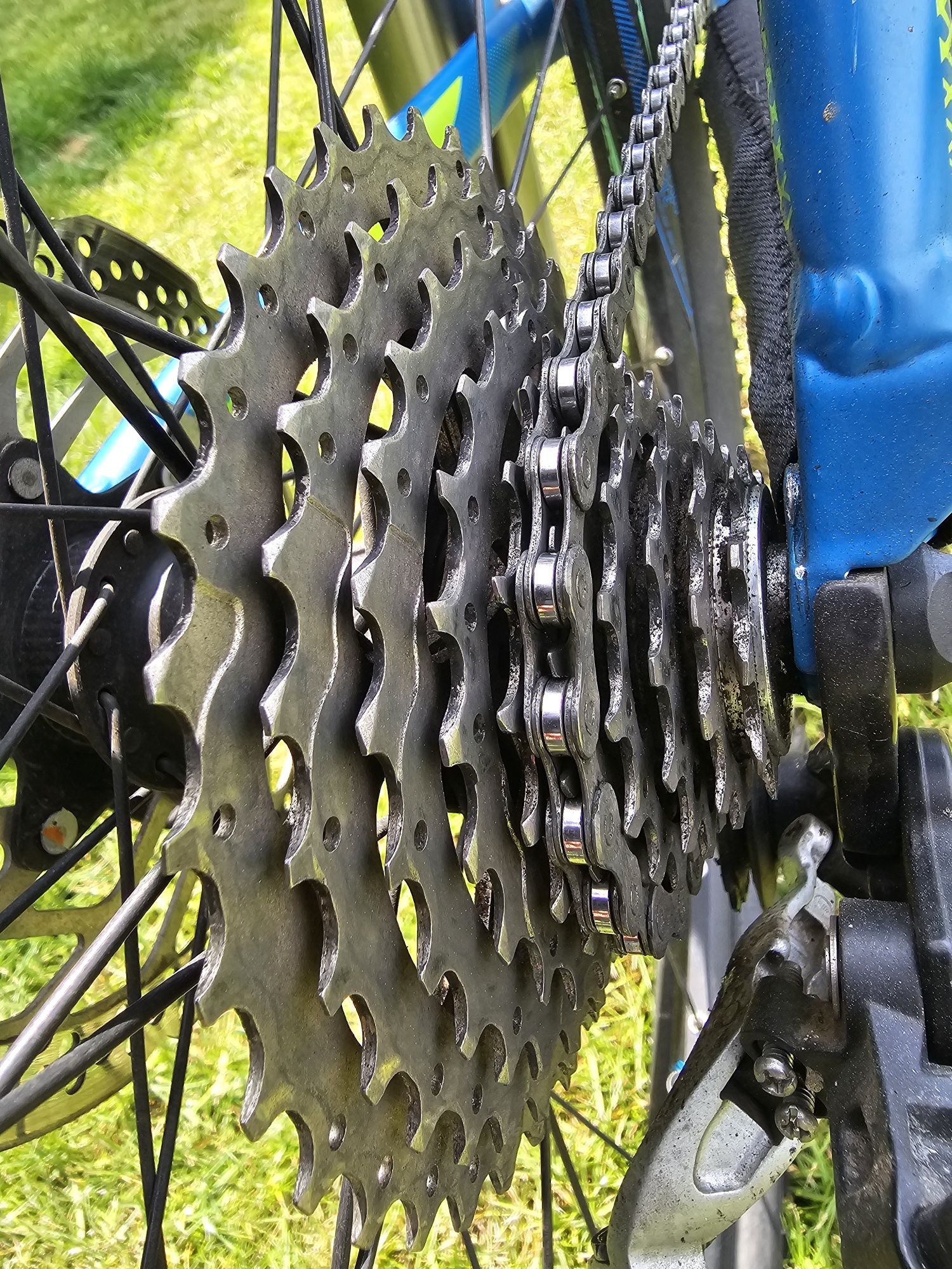 Rower Cube LTD Race koła 29", rama 19" (48 cm), XT, SLX