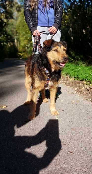 Kto pokocha spokojnego Pluto?