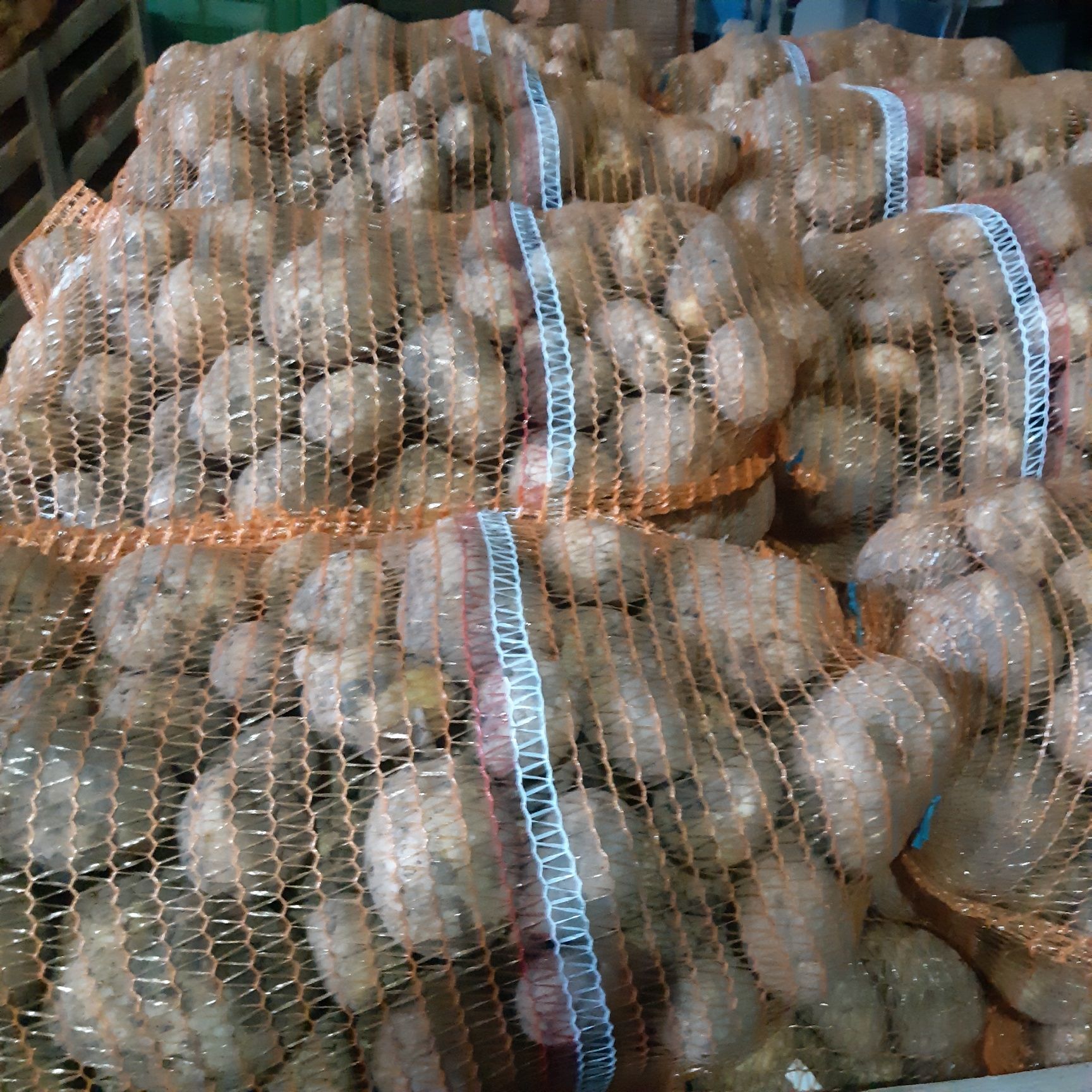 Sprzedam ziemniaki jadalne  20zl za 15kg