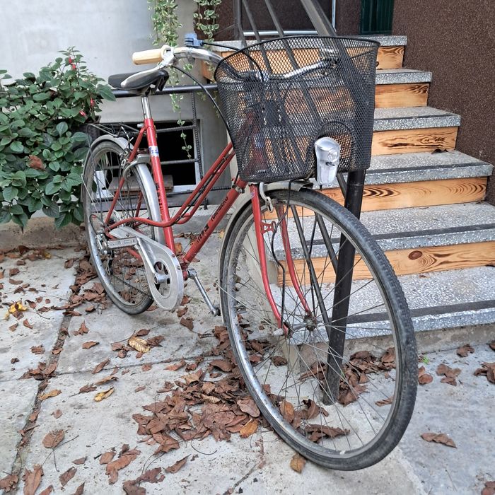 Turmberg damka z koszykiem