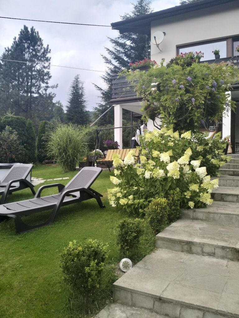 Apartament z widokiem na góry