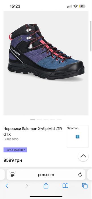 жіночі черевики Salomon X-Alp Mid LTR GTX