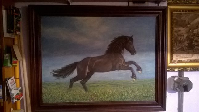 Obraz koń w galopie