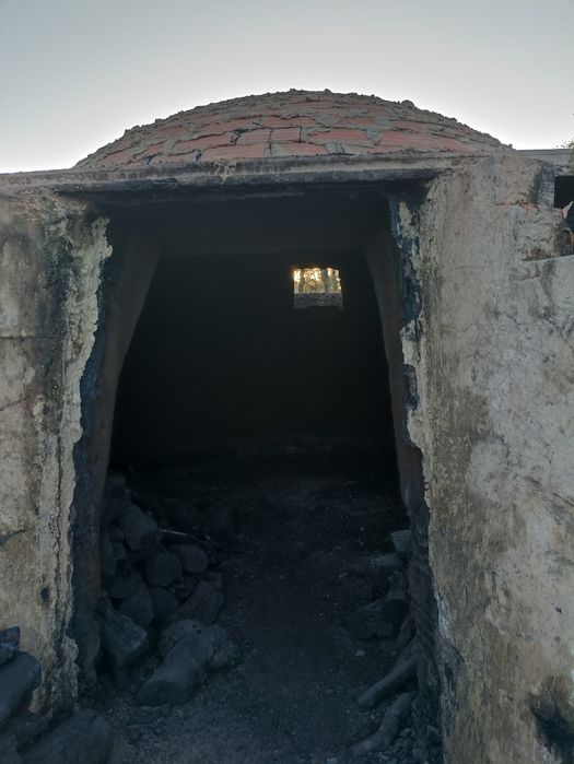 Carvão vegetal 15kg