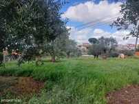 Terreno  para venda