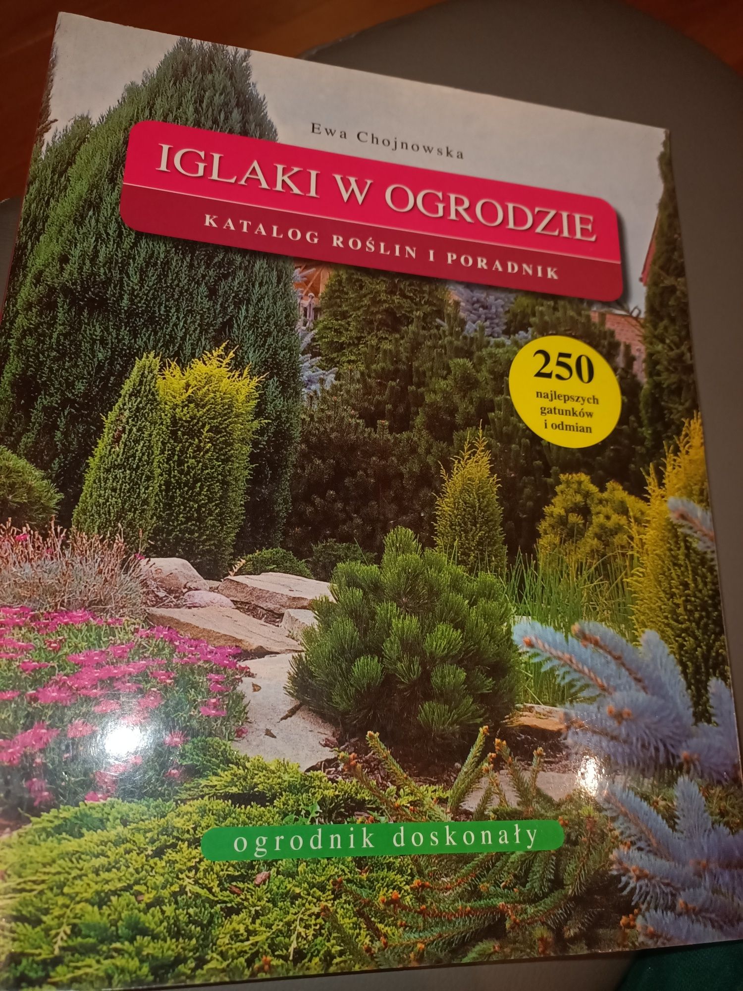 Książka -album ,,Iglaki w ogrodzie,,