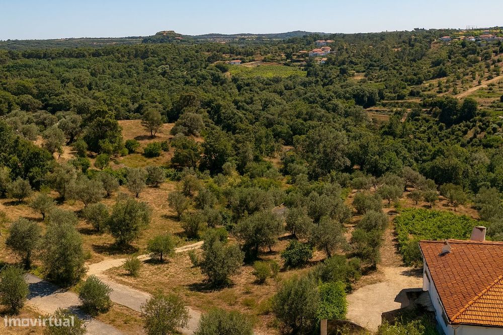 Terreno urbano para construção - Coroados - Ourem