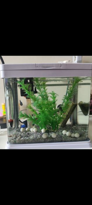 nowoczesny akwarium - odbiór osobisty !!! Łódź Dąbrowa