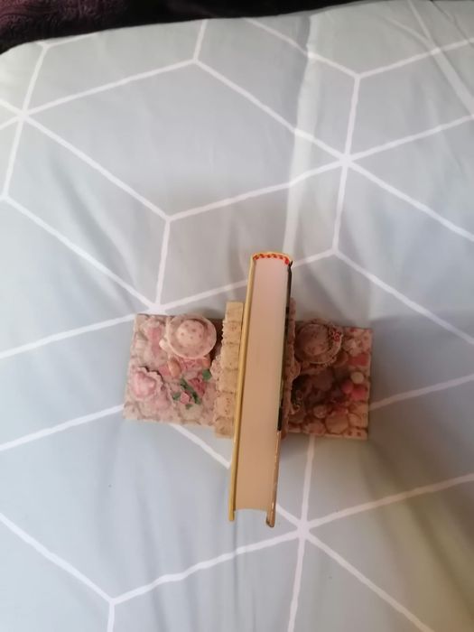 Livro: A relíquia - Eça de Queirós