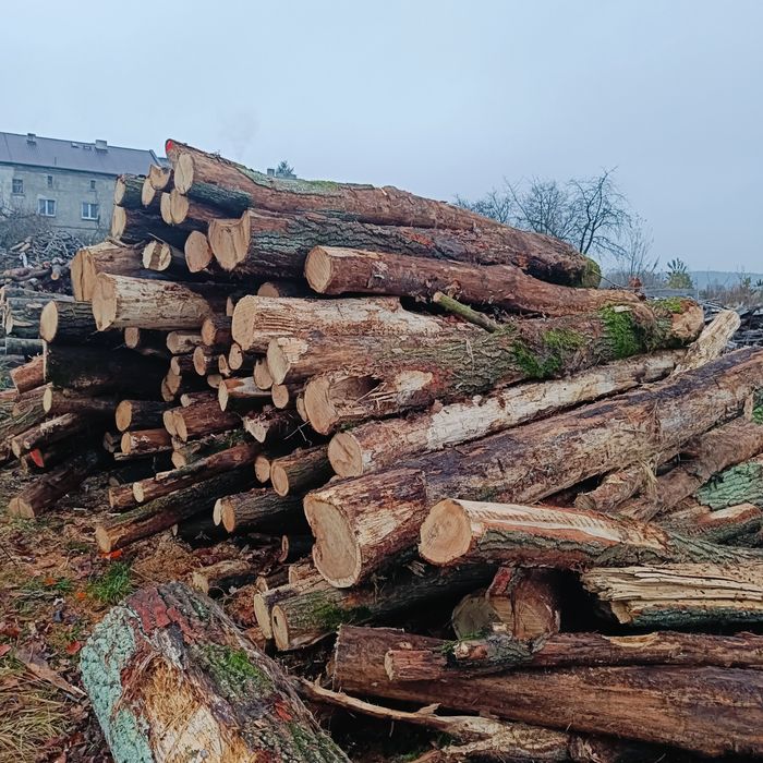 Drewno opałowe Dąb