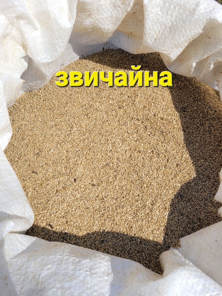 Дафнія великим та малим оптом. Корм для риб.