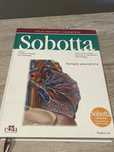 Sobotta atlas narzady wewnętrzne