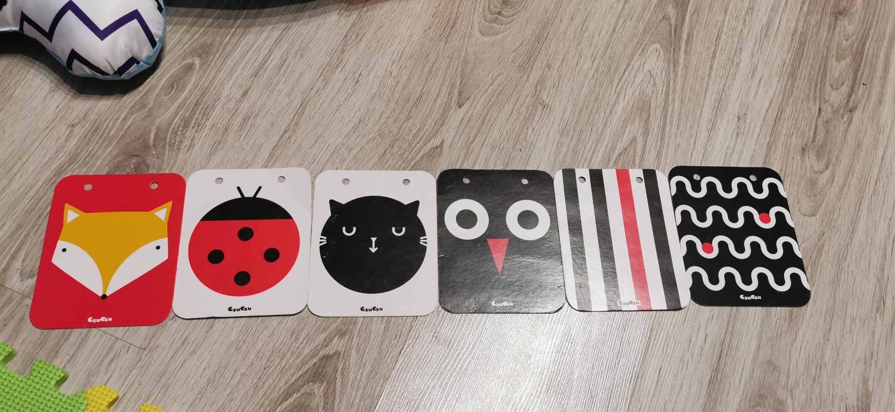 Mata edukacyjna i kojec Lionelo