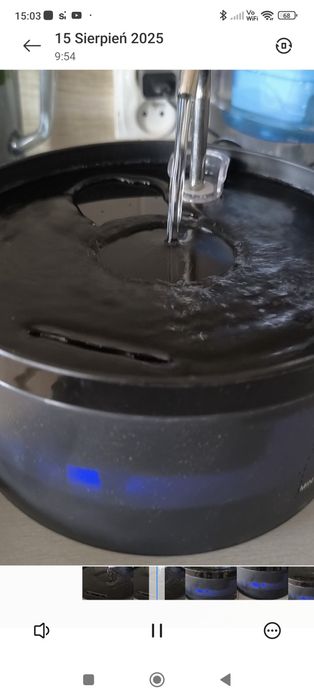 Poidełko fontanna dla psa lub kota