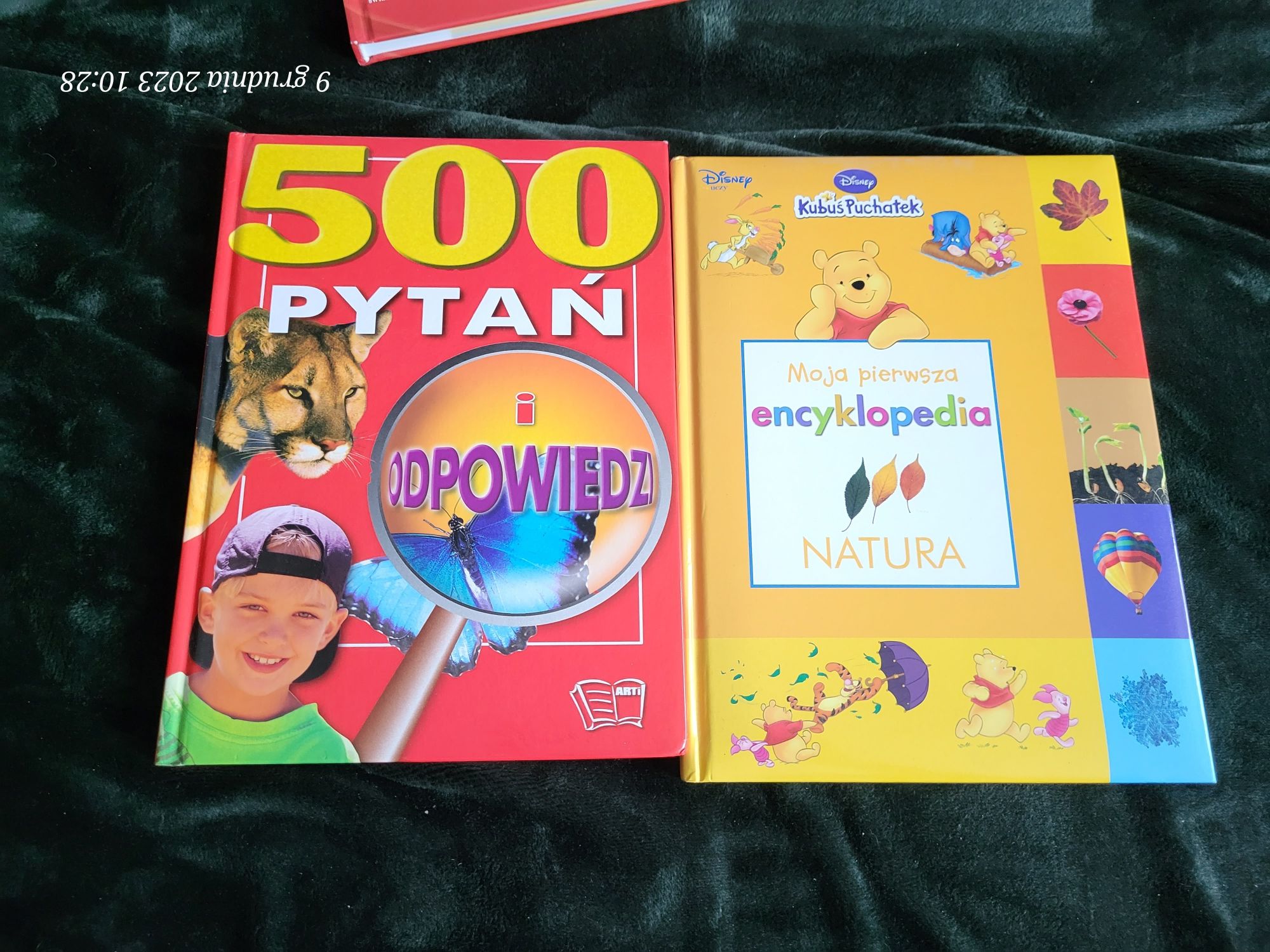 Książki dla dzieci cena za całość