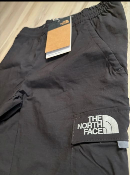 Spodnie męskie The north face