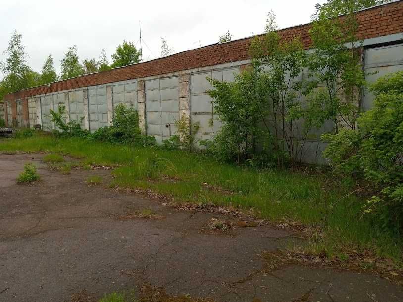 Будівля гаражів - тг Черняхівська, Житомирська обл.