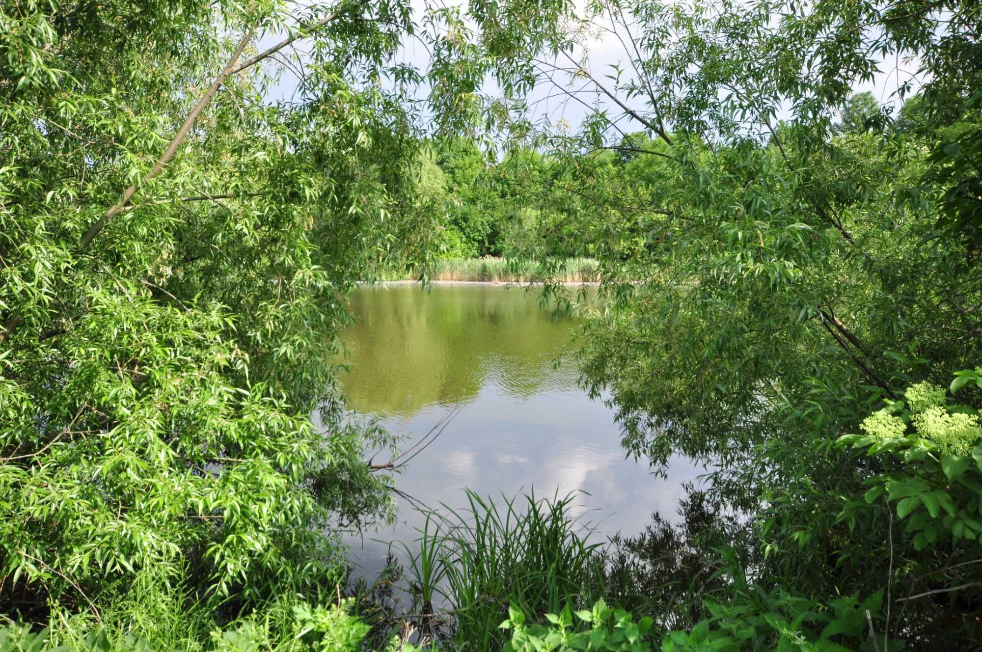 Будинок в ділянкою в озеро, с. Чупира, Одеський напрямок