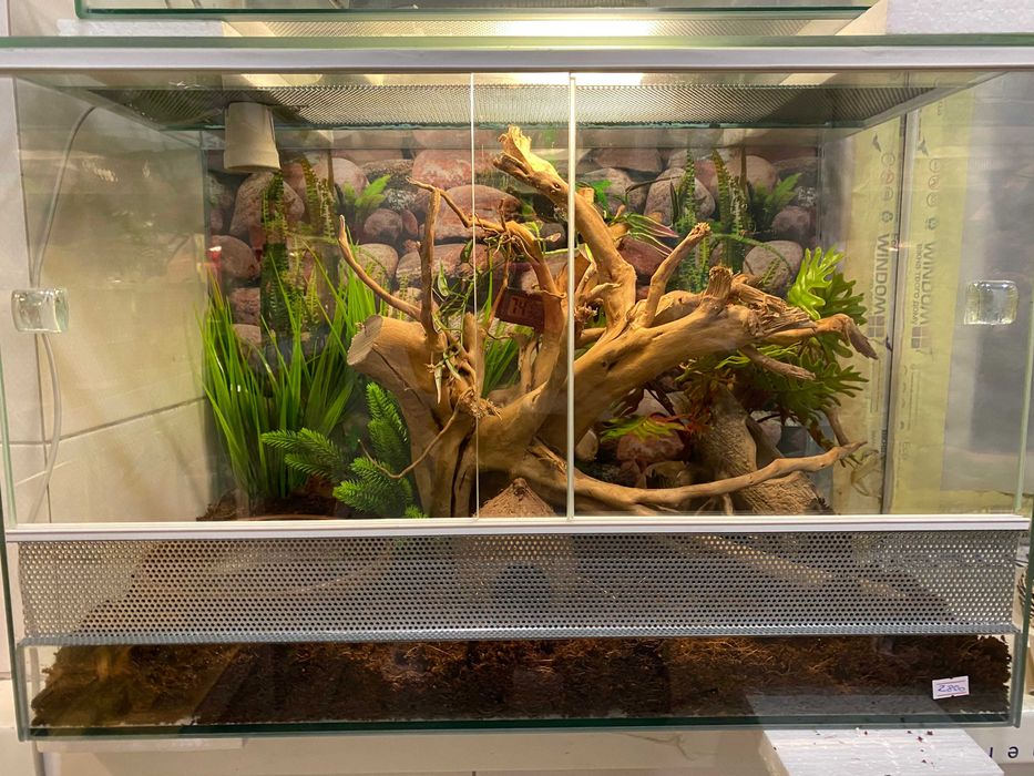 Тераріум скляний для рептилій (різні)