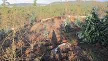 Terreno para construção em Macieira de Rates - Barcelos