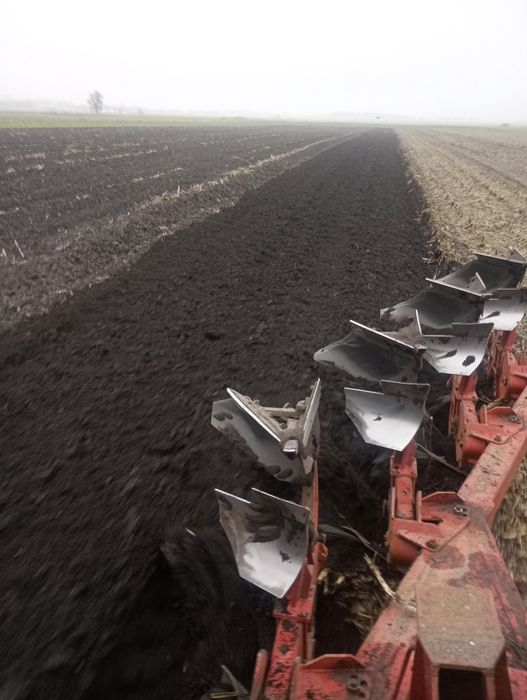 Orka,talerzowanie, transport usługi rolnicze.
