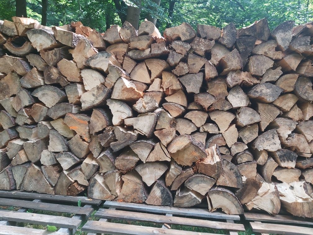 Drewno kominkowe suche liściaste I iglaste od 250