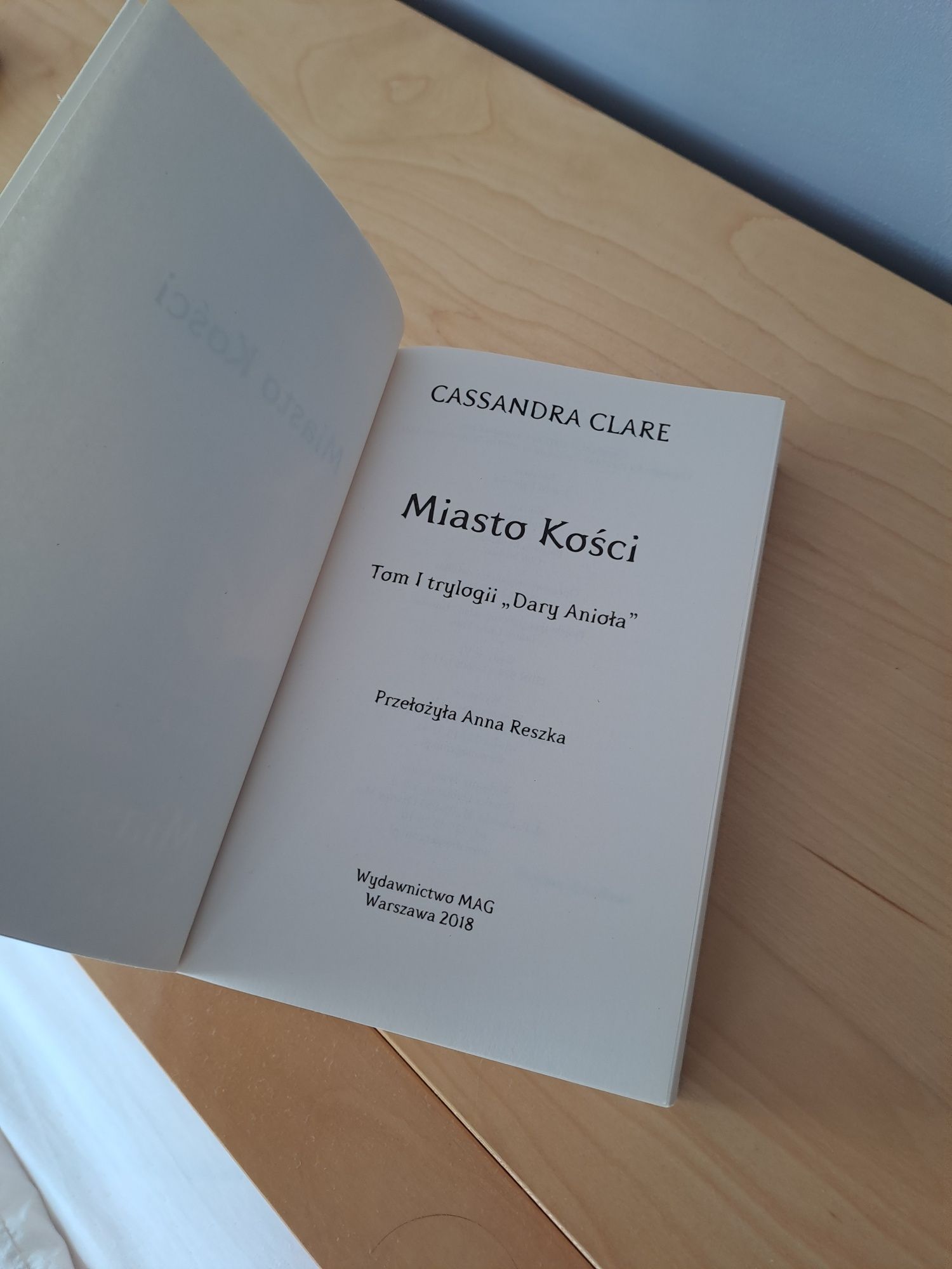 Książka Miasto Kości
