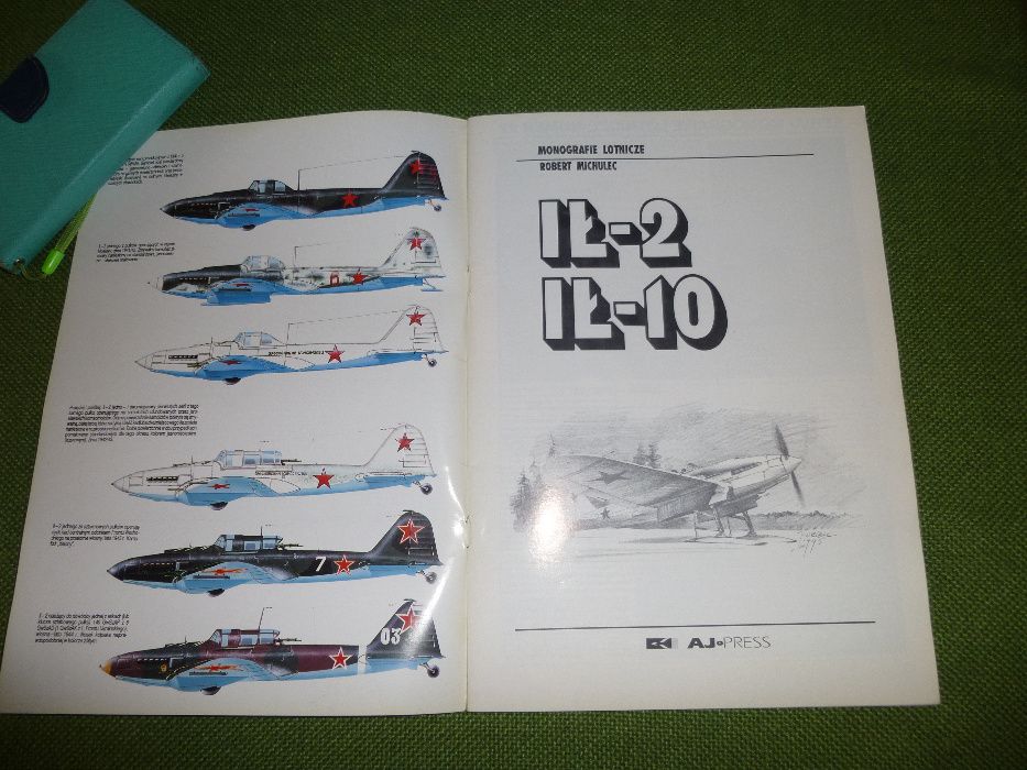 IŁ-2, IŁ-10, autor Robert Michulec