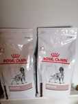 Ração seca para cão Royal Canin Hepatic