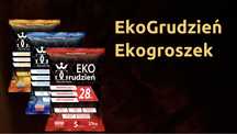 Promocja  Ekogroszek typ Karlik PGG