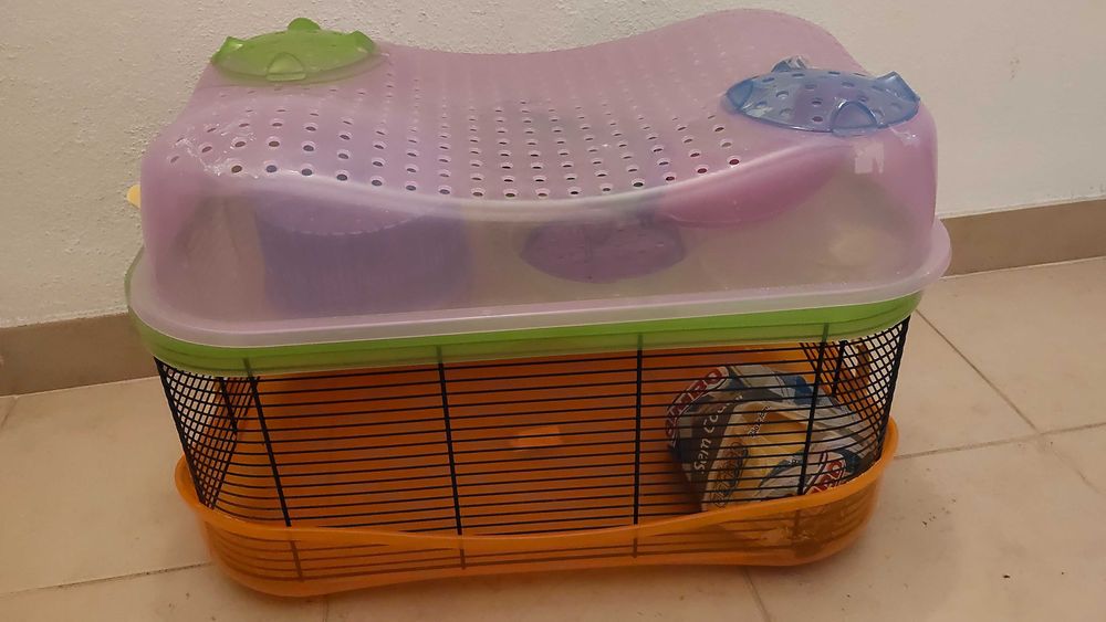 Gaiola hamster colorida 2 andares