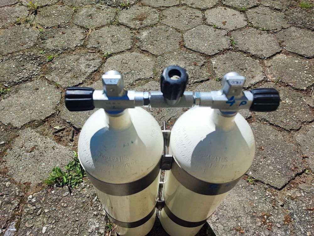 TwinSet świerza legalizacja 2x12 L