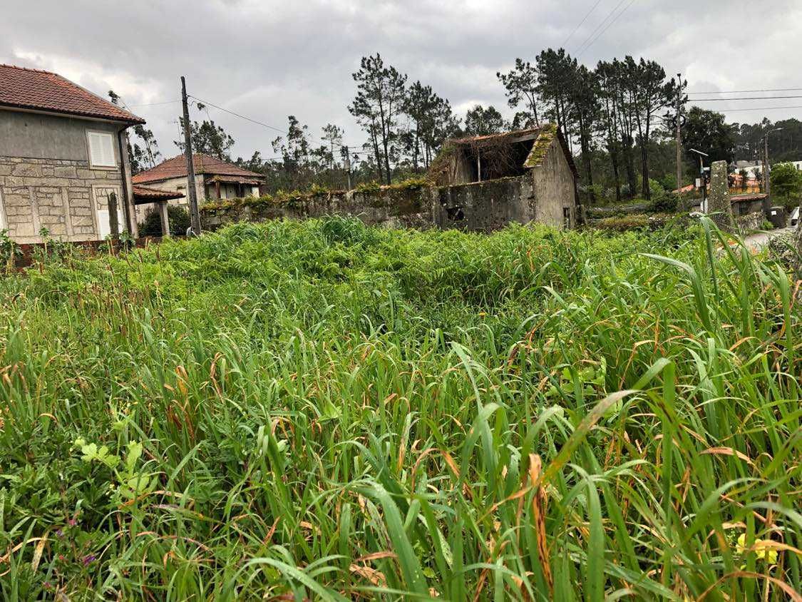 Venda de terreno com ruína, Vila Nova de Anha, Viana do Castelo.