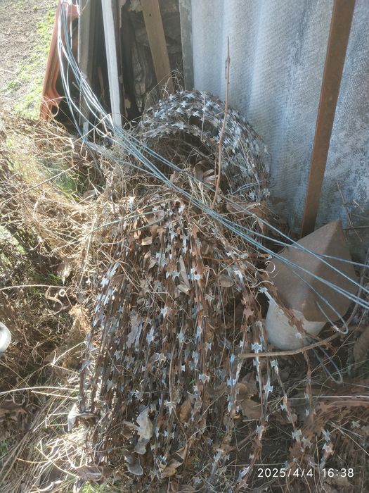 Ягоза,есть 6 бухт,цена за все