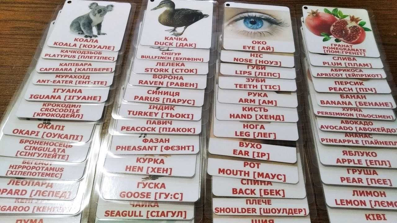 Картки карточки Домана на кільці двома мовами