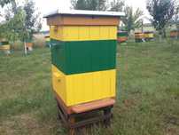 Ule Wielkopolskie  10 R  [Kompletny]