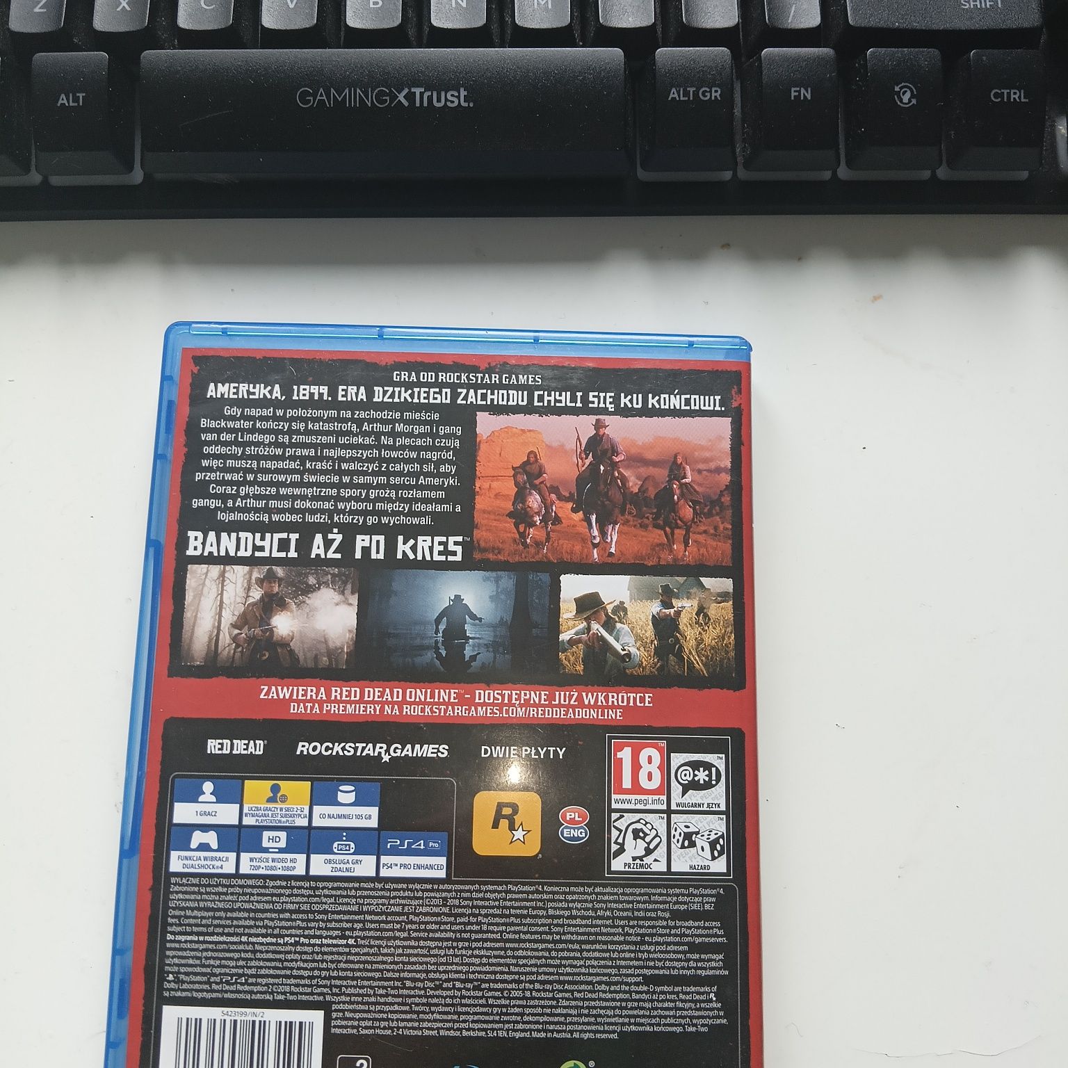 Red Dead reademption 2