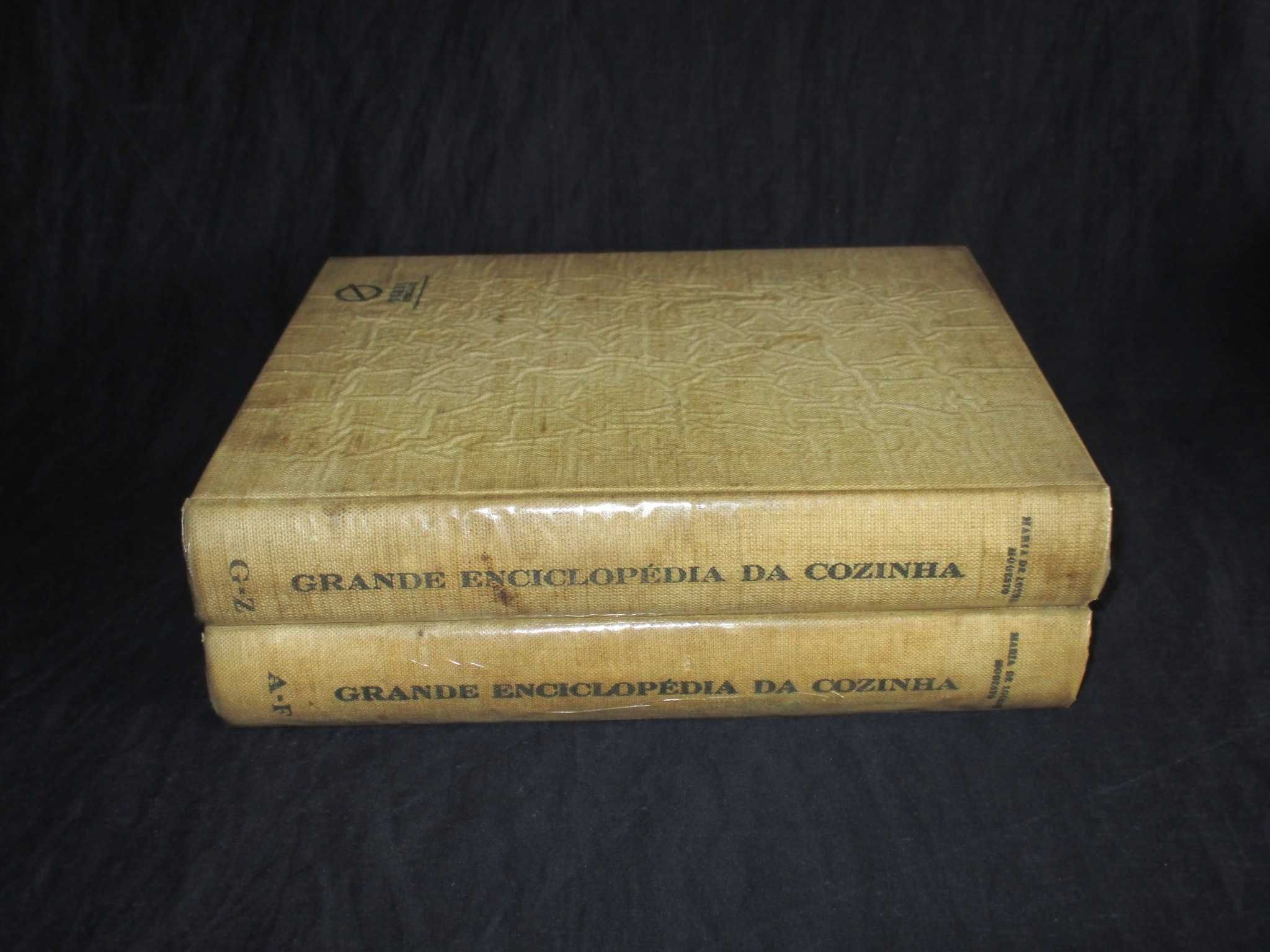 Livros Grande Enciclopédia da Cozinha Maria de Lourdes Modesto