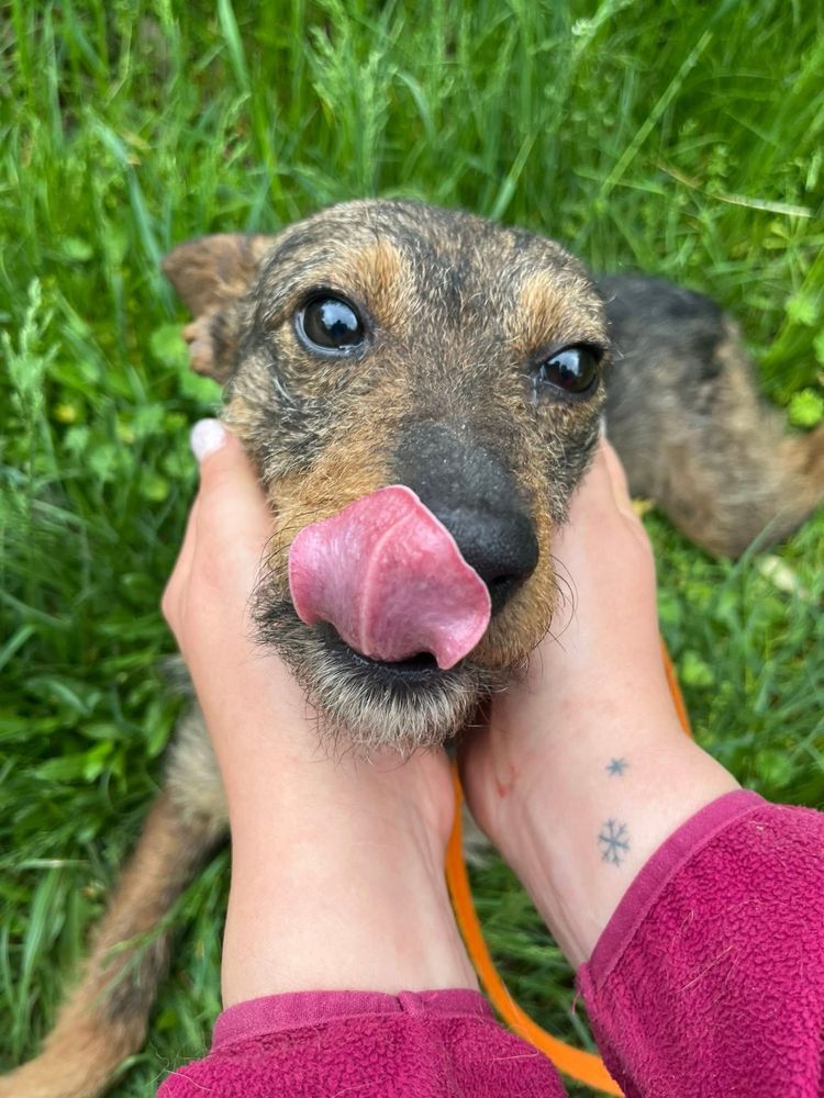 Kochany Tymek czeka na adopcje