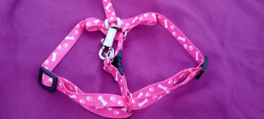 Trela para cão de porte pequeno
