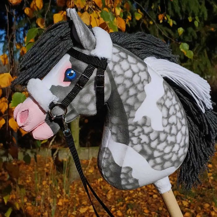 Siwy srokaty konik Hobby Horse A4 + sprzęt finland
