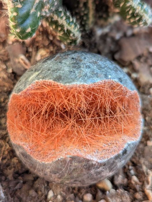 Esfera de Cristal de Quartzo com Agulhas de Goethite Vermelhas.