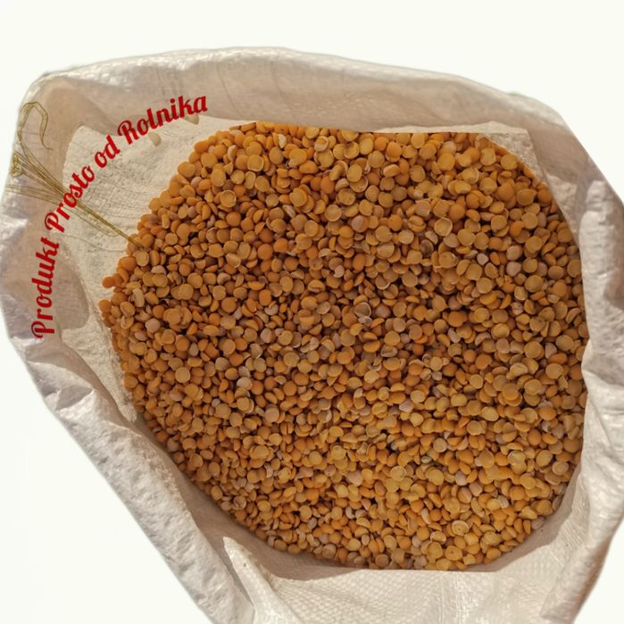 Groch połówki opakowanie 25kg wysyłka natychmiast Inpost