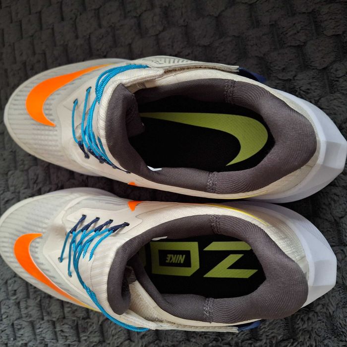 Nike Air Zoom Pegasus 39 FlyEase