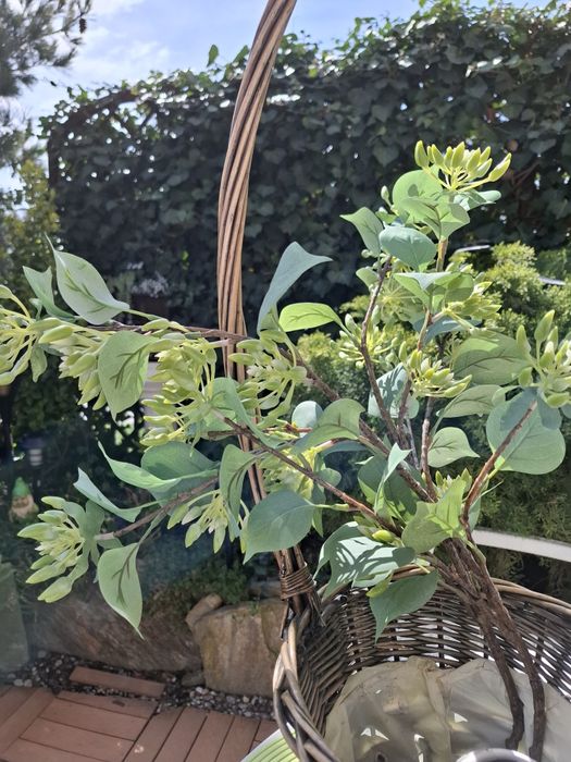 Koszyk wiklinowy oliwkowo-złoty z  rośliną